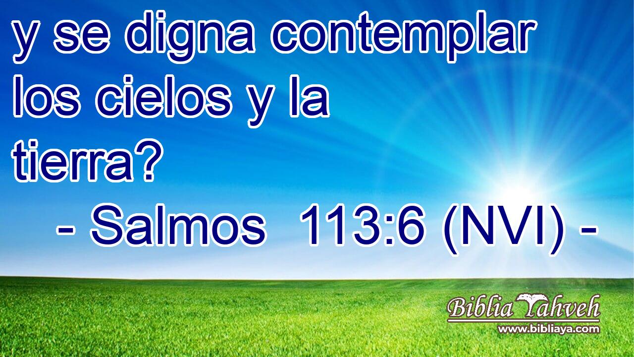  y se digna contemplar los cielos y la tierra? 