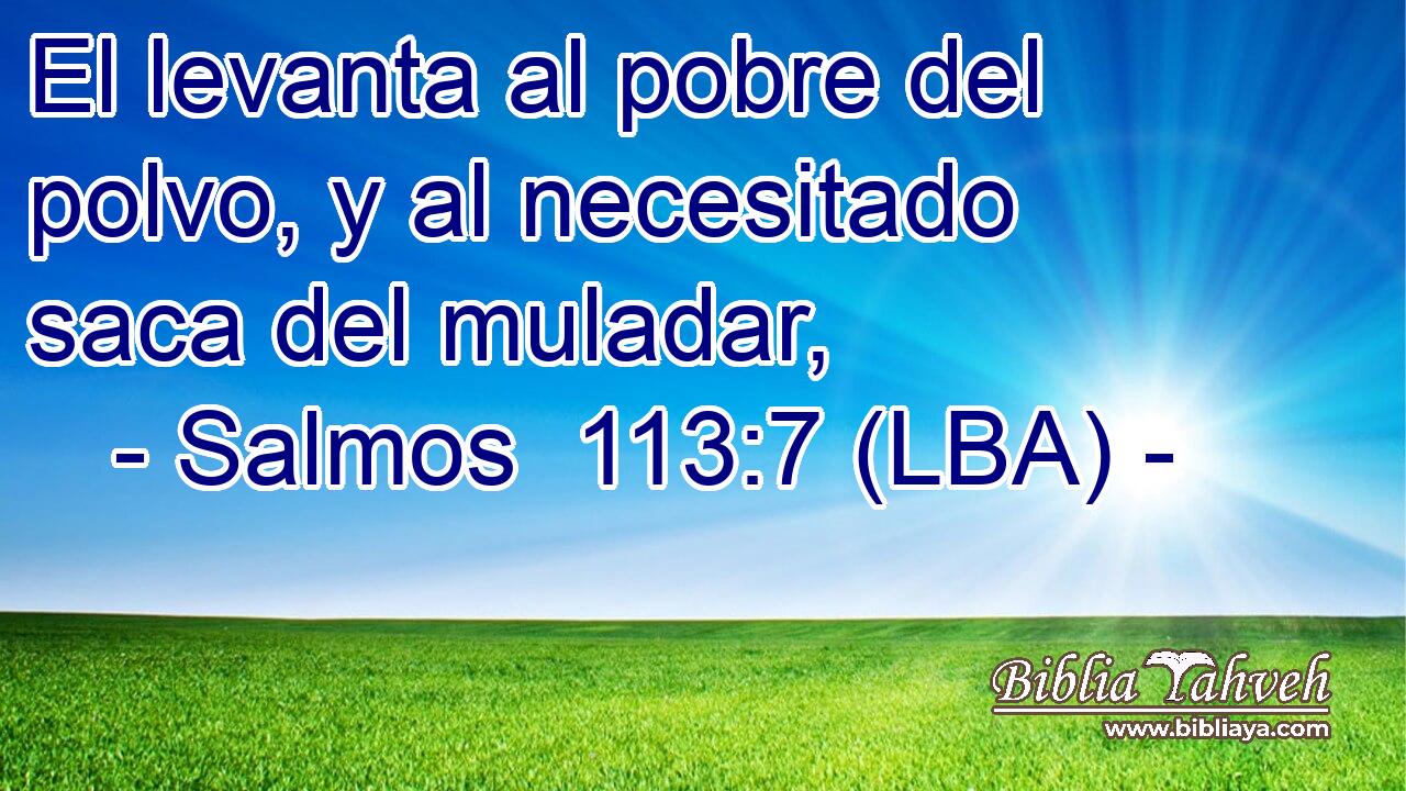 El levanta al pobre del polvo, y al necesitado saca del muladar,