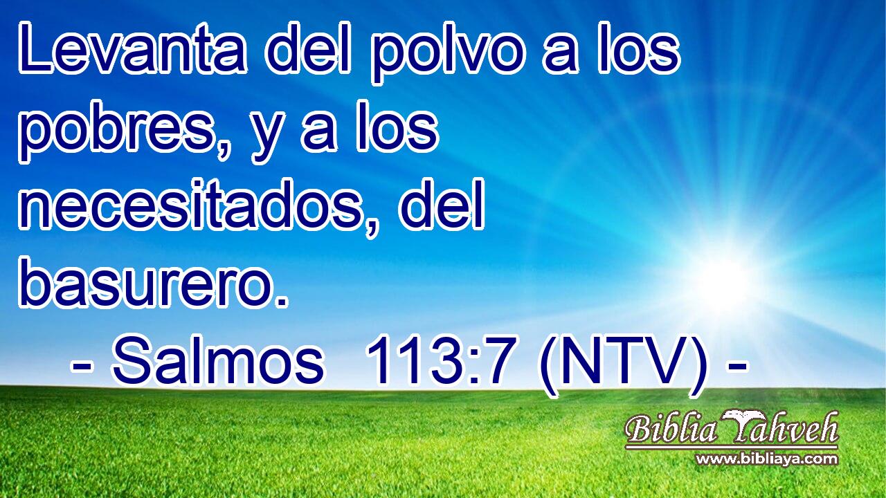 Levanta del polvo a los pobres, y a los necesitados, del basurero.