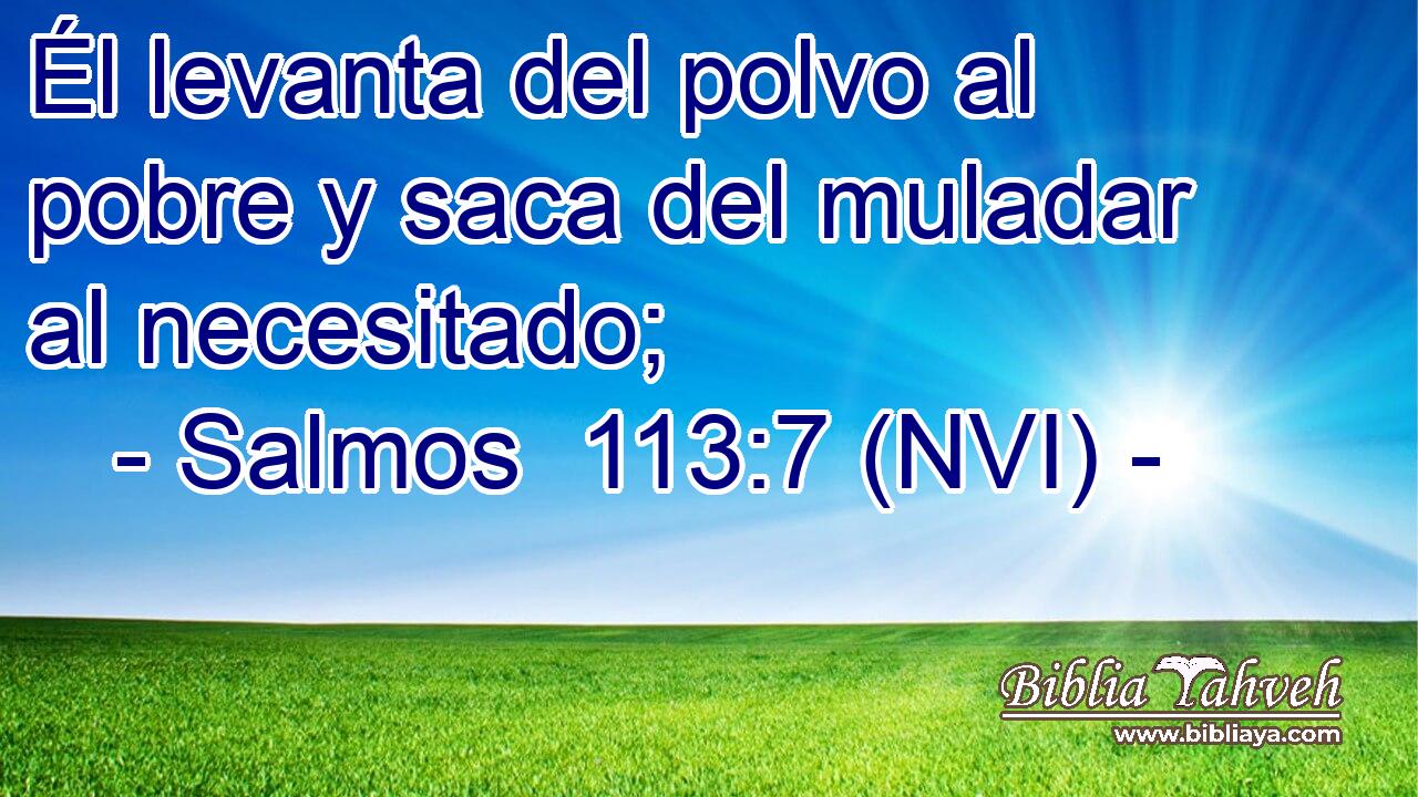  Él levanta del polvo al pobre y saca del muladar al necesitado; 