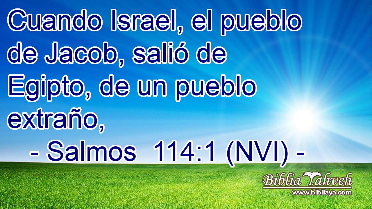  Cuando Israel, el pueblo de Jacob, salió de Egipto, de un pueblo extraño, 