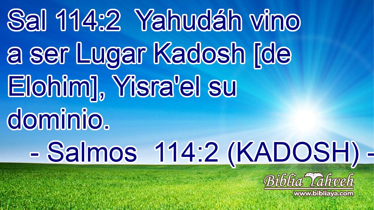  Yahudáh vino a ser Lugar Kadosh [de Elohim], Yisra'el su dominio. 