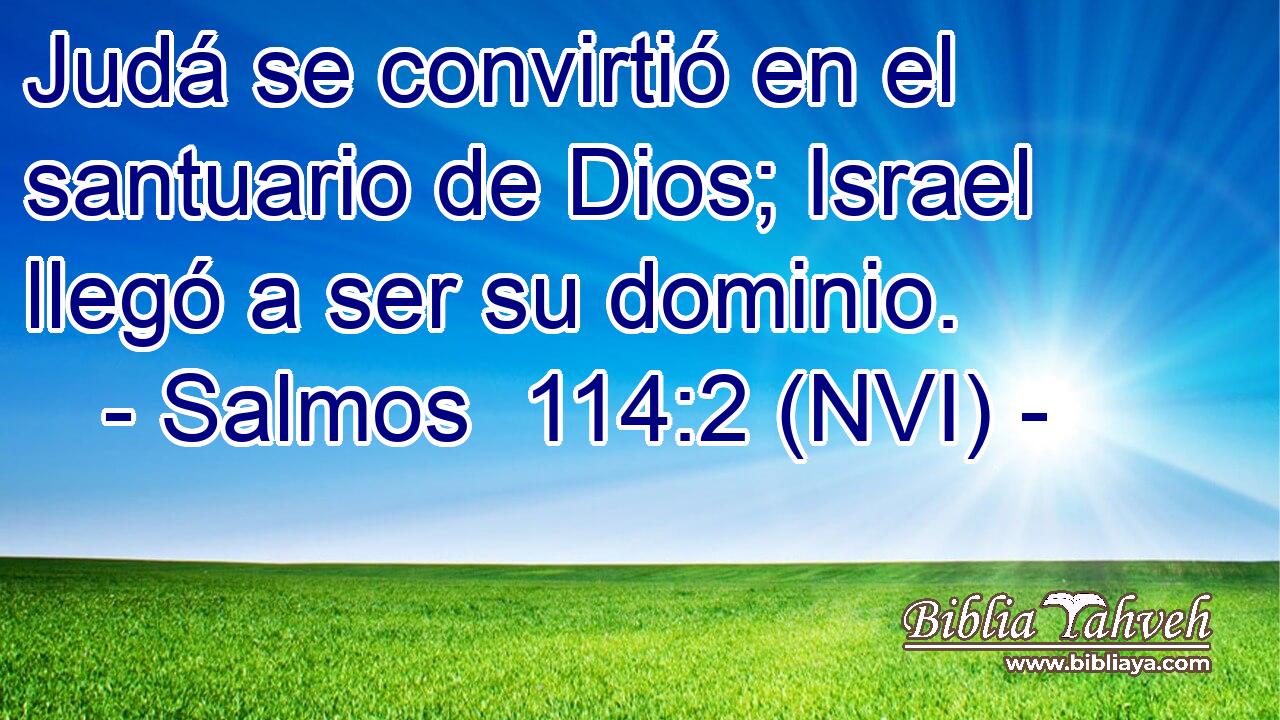  Judá se convirtió en el santuario de Dios; Israel llegó a ser su dominio. 