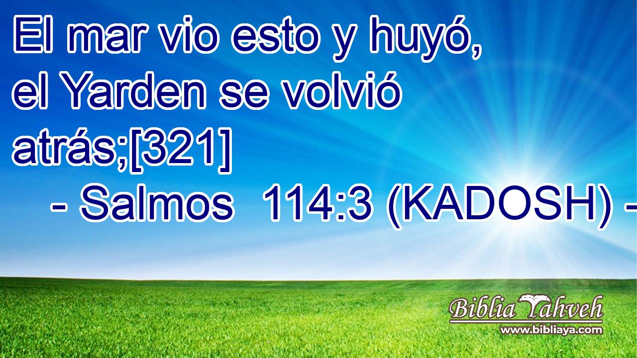 El mar vio esto y huyó, el Yarden se volvió atrás;[321] 