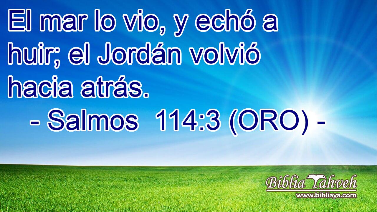  El mar lo vio, y echó a huir; el Jordán volvió hacia atrás. 