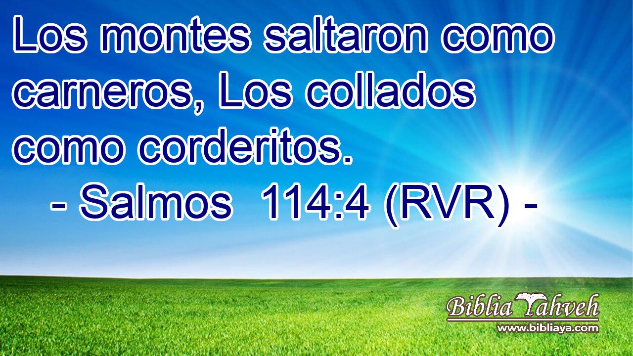 Los montes saltaron como carneros, Los collados como corderitos.