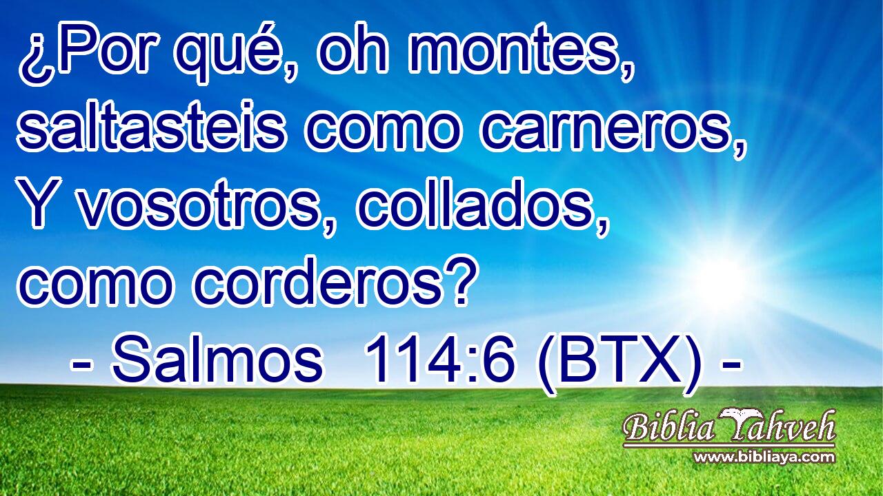 ¿Por qué, oh montes, saltasteis como carneros, Y vosotros, collados, como corderos?