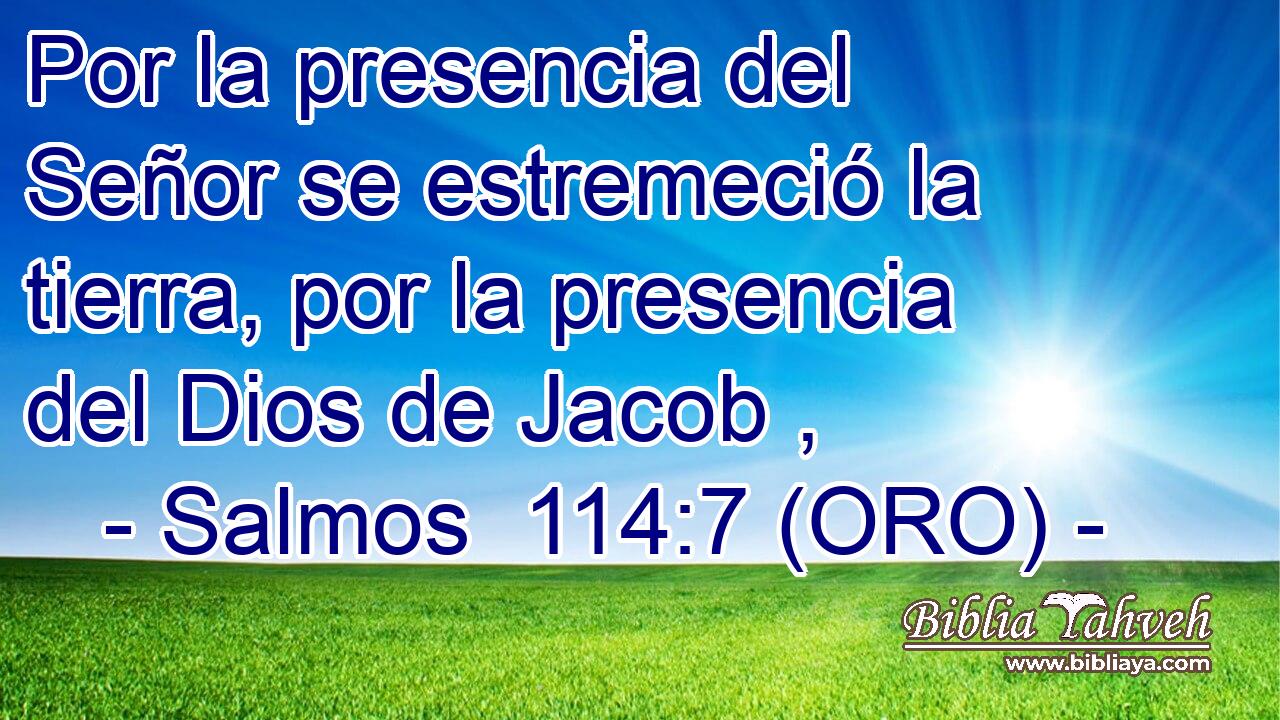  Por la presencia del Señor se estremeció la tierra, por la presencia del Dios de Jacob , 