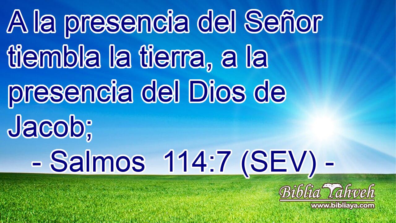 A la presencia del Señor tiembla la tierra, a la presencia del Dios de Jacob;