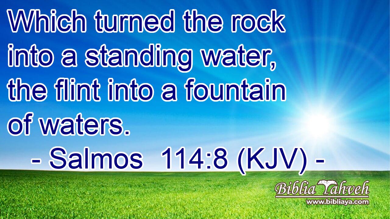 Which turned the rock into a standing water, the flint into a fountain of waters.