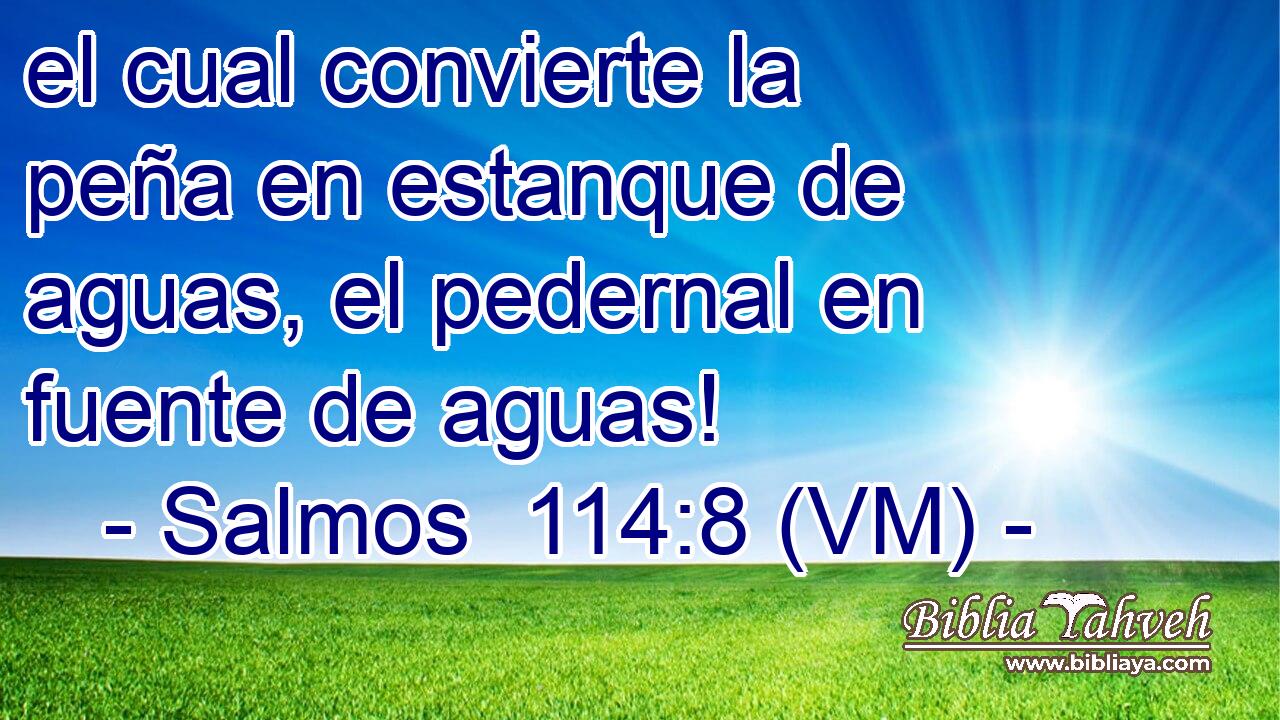  el cual convierte la peña en estanque de aguas, el pedernal en fuente de aguas! 