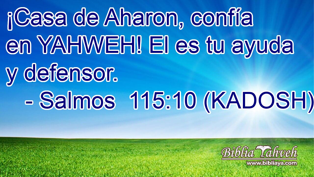  ¡Casa de Aharon, confía en YAHWEH! El es tu ayuda y defensor. 