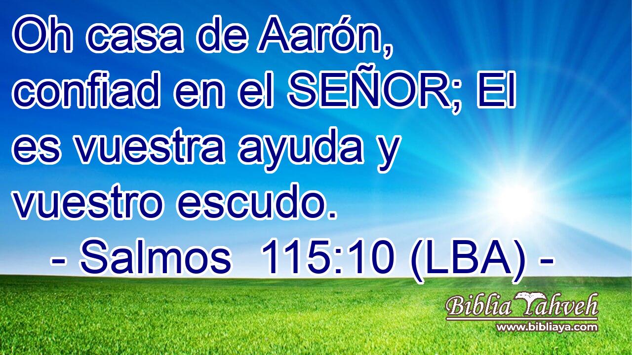 Oh casa de Aarón, confiad en el SEÑOR; El es vuestra ayuda y vuestro escudo.