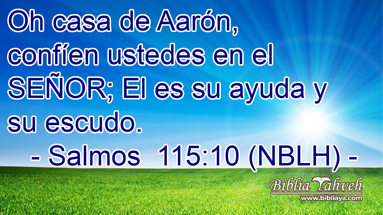  Oh casa de Aarón, confíen ustedes en el SEÑOR; El es su ayuda y su escudo. 