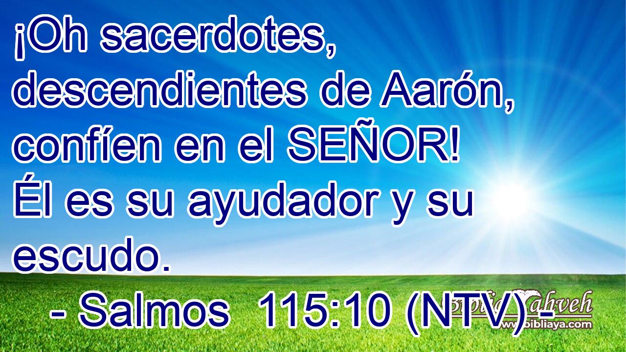 ¡Oh sacerdotes, descendientes de Aarón, confíen en el SEÑOR! Él es su ayudador y su escudo.