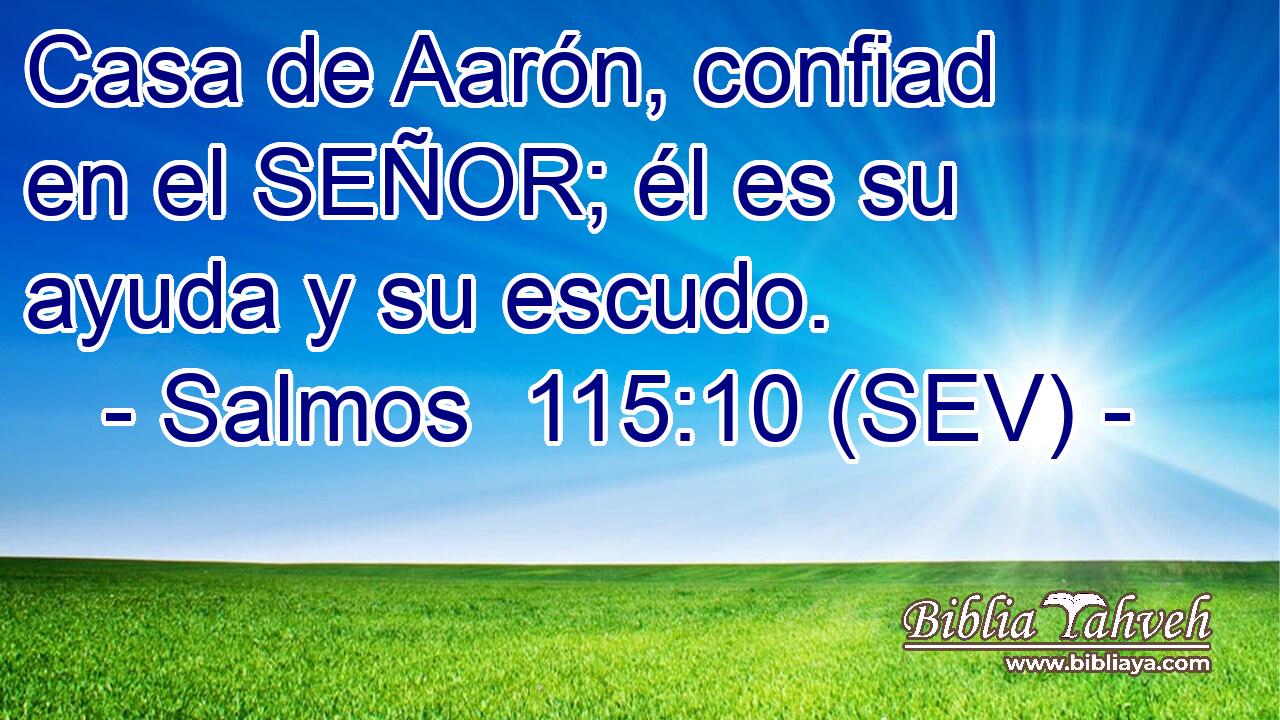 Casa de Aarón, confiad en el SEÑOR; él es su ayuda y su escudo.