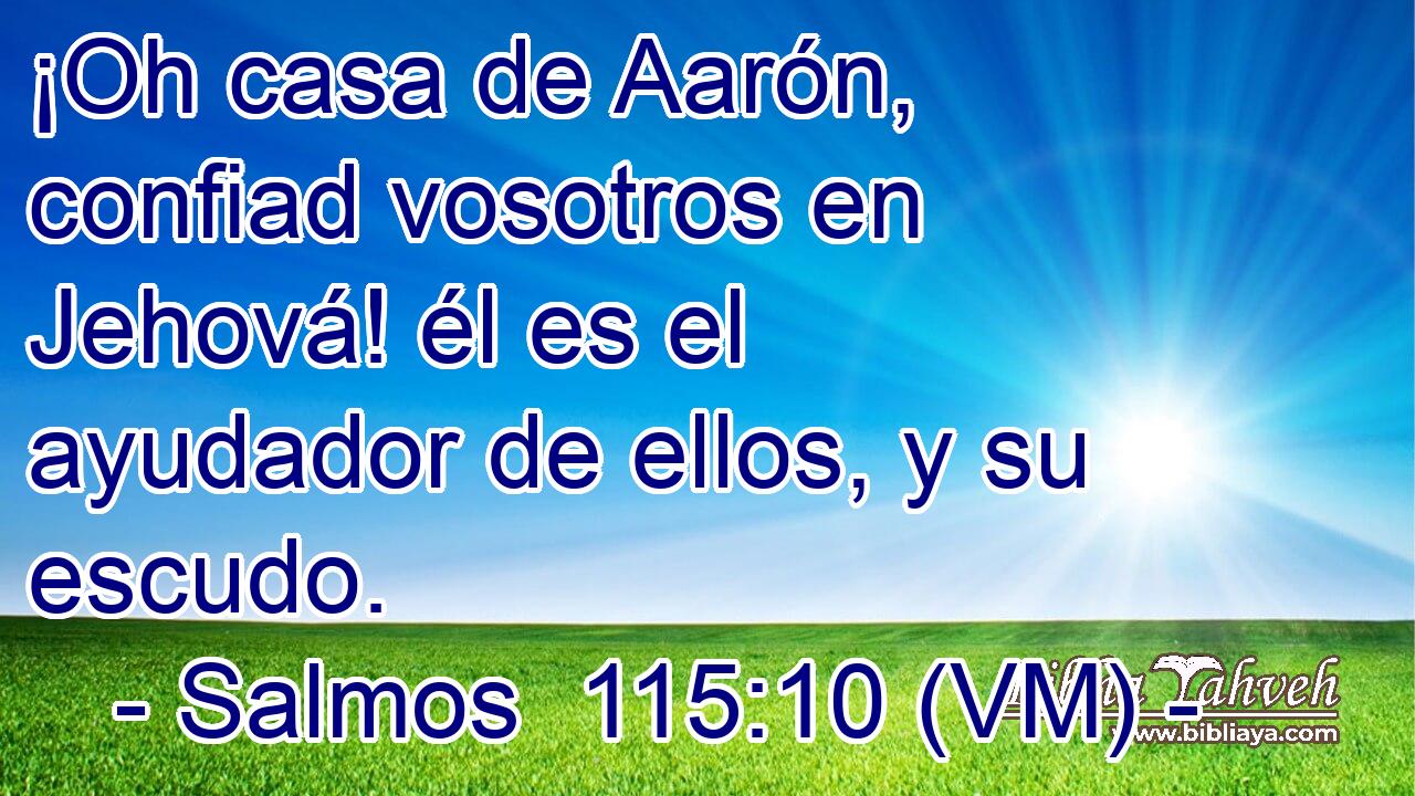  ¡Oh casa de Aarón, confiad vosotros en Jehová! él es el ayudador de ellos, y su escudo. 