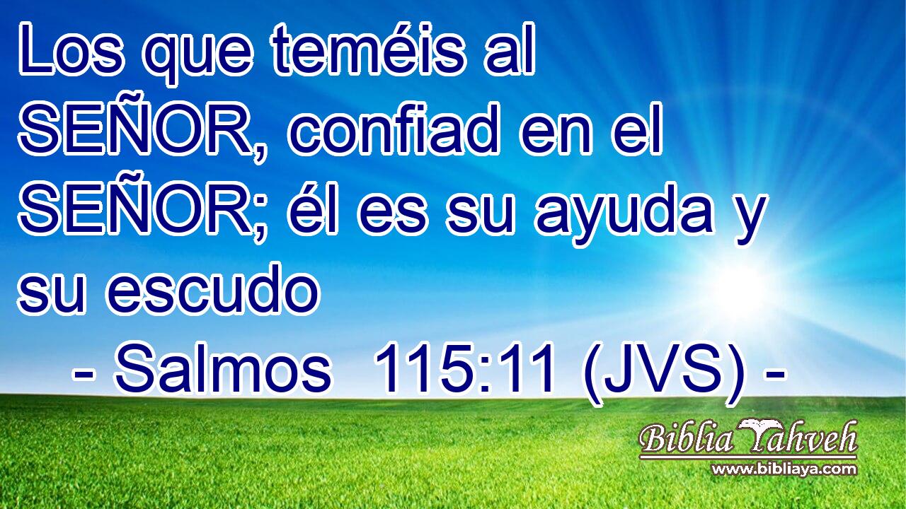 Los que teméis al SEÑOR, confiad en el SEÑOR; él es su ayuda y su escudo