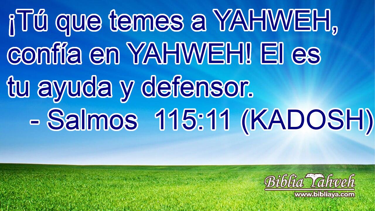  ¡Tú que temes a YAHWEH, confía en YAHWEH! El es tu ayuda y defensor. 