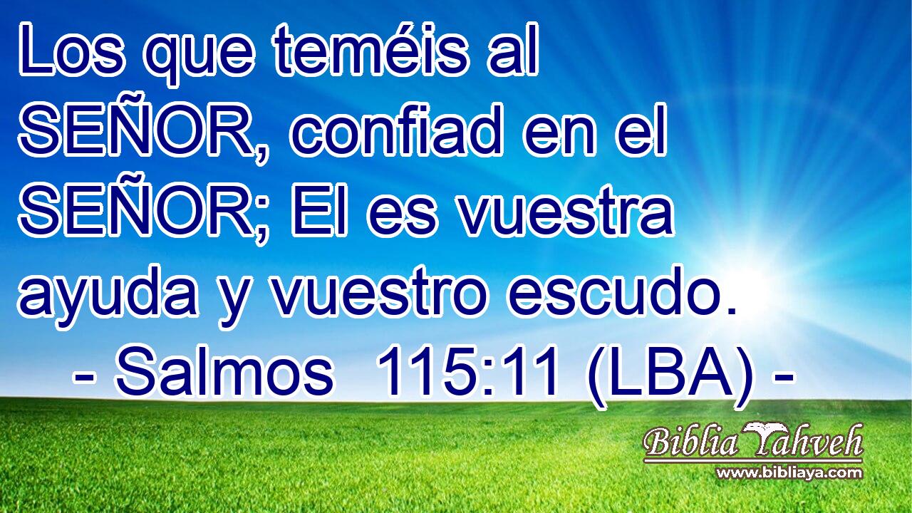 Los que teméis al SEÑOR, confiad en el SEÑOR; El es vuestra ayuda y vuestro escudo.