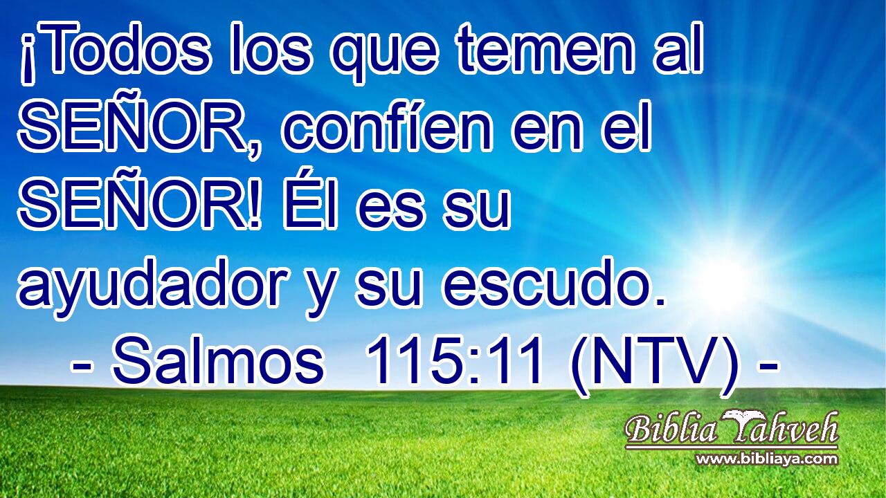 ¡Todos los que temen al SEÑOR, confíen en el SEÑOR! Él es su ayudador y su escudo.