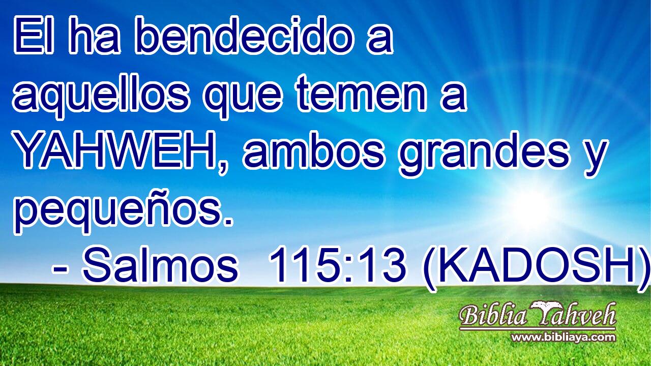  El ha bendecido a aquellos que temen a YAHWEH, ambos grandes y pequeños. 