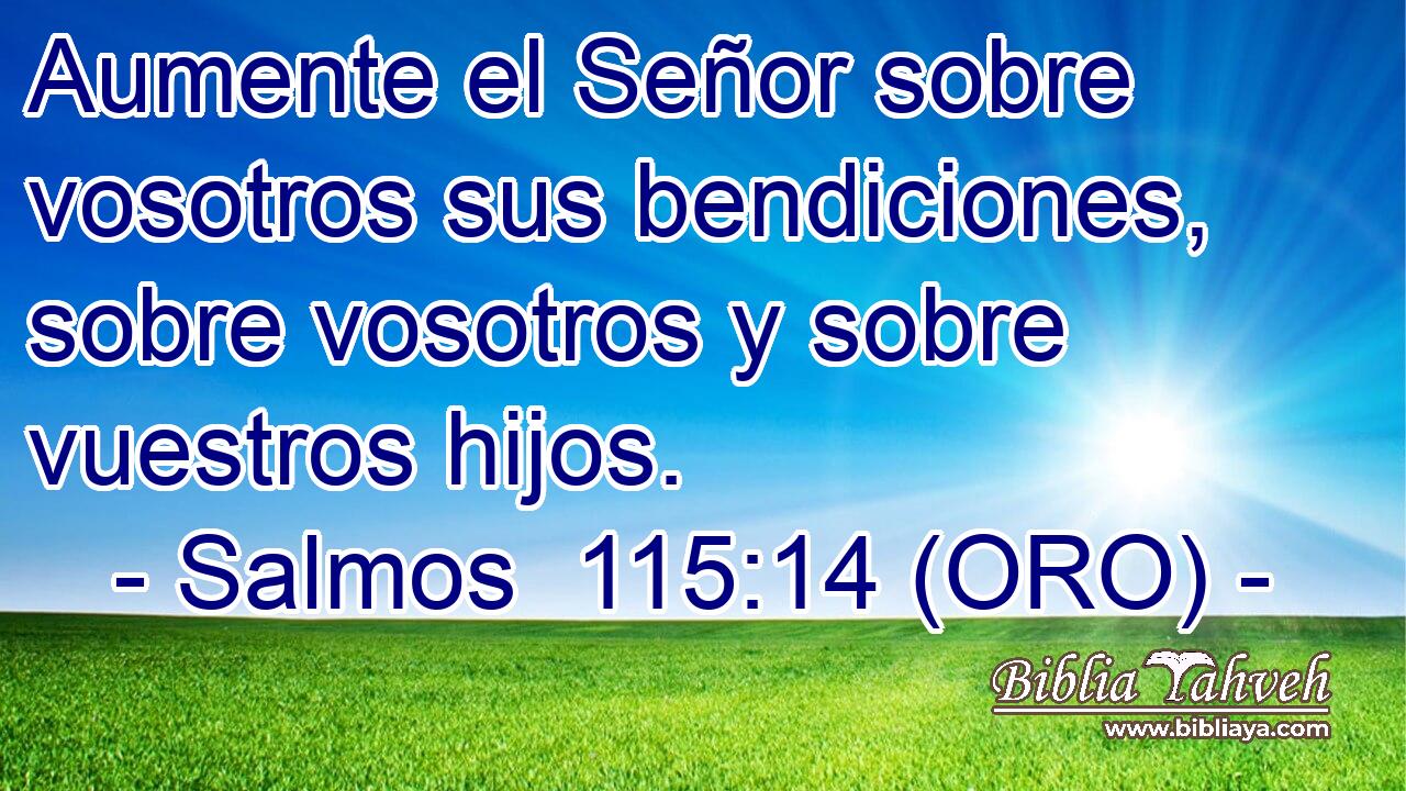  Aumente el Señor sobre vosotros sus bendiciones, sobre vosotros y sobre vuestros hijos. 