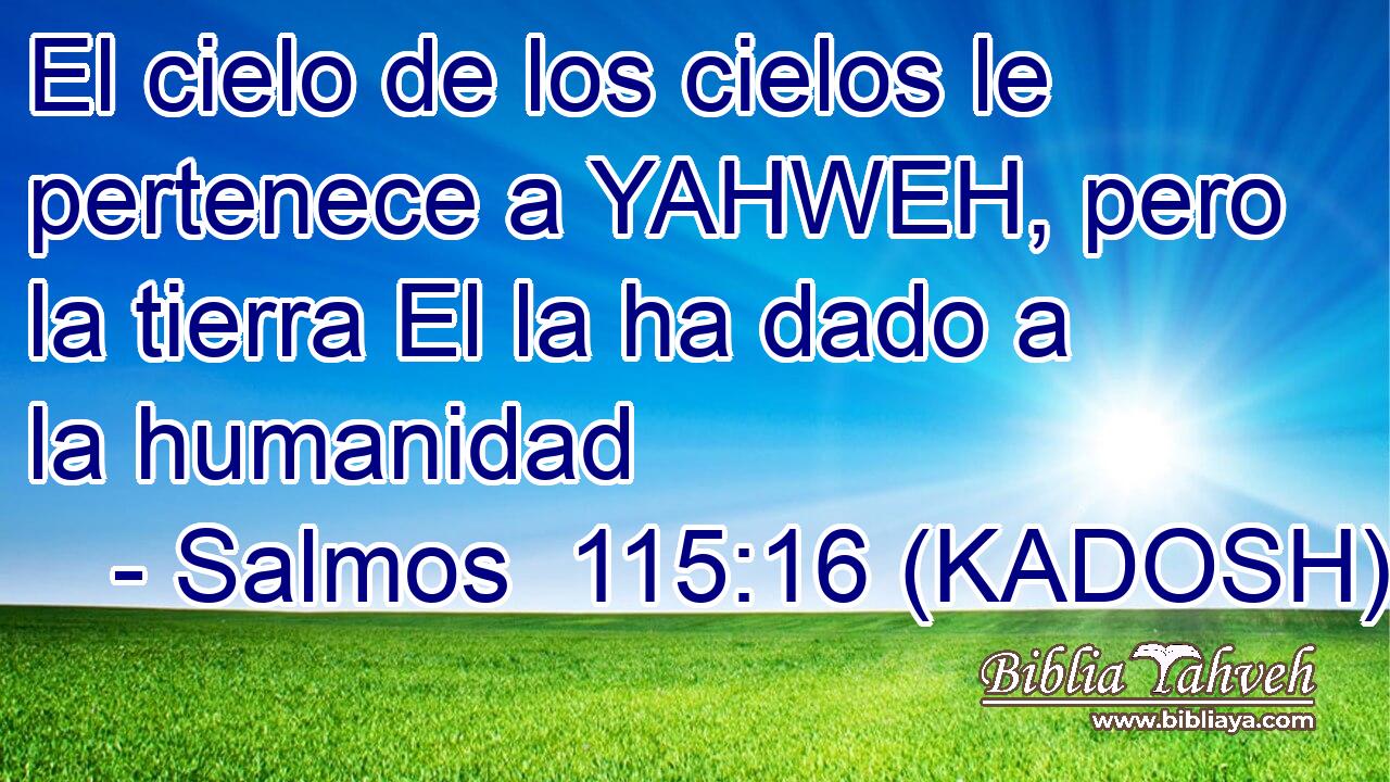  El cielo de los cielos le pertenece a YAHWEH, pero la tierra El la ha dado a la humanidad 