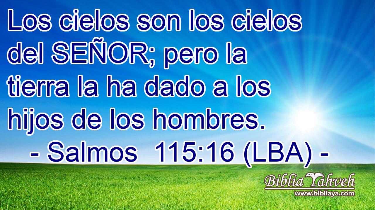 Los cielos son los cielos del SEÑOR; pero la tierra la ha dado a los hijos de los hombres.