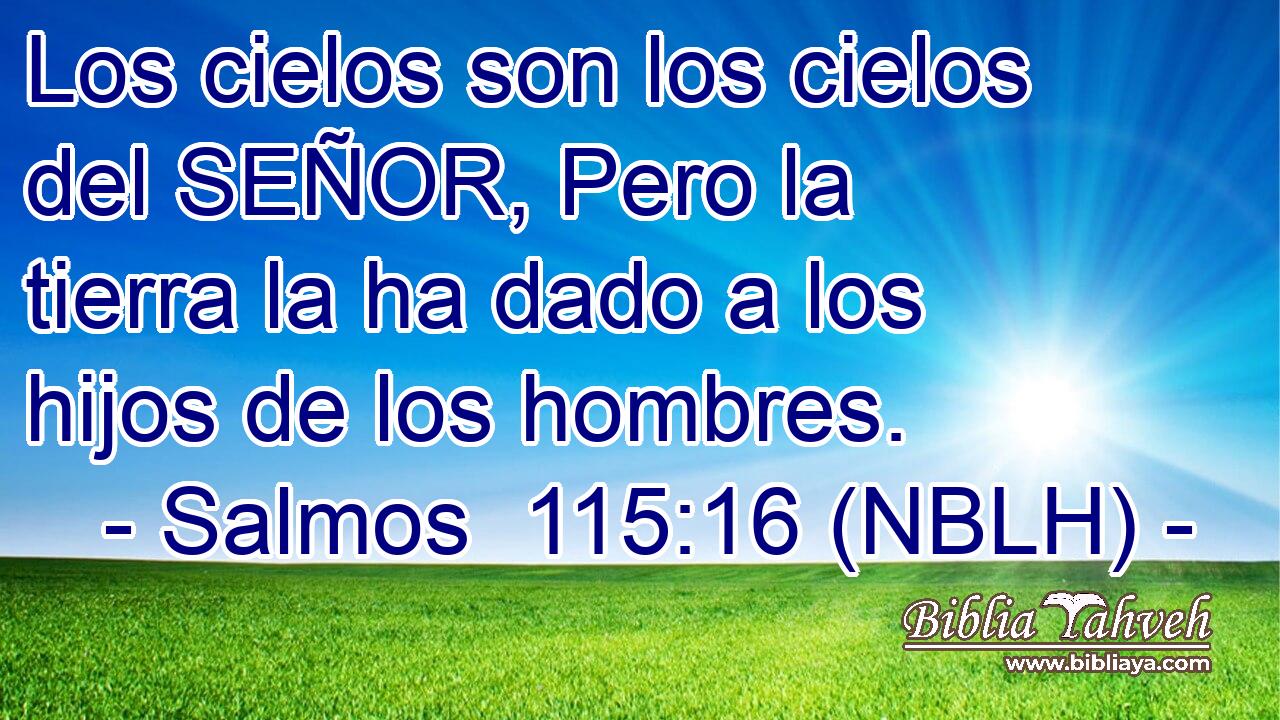  Los cielos son los cielos del SEÑOR, Pero la tierra la ha dado a los hijos de los hombres. 