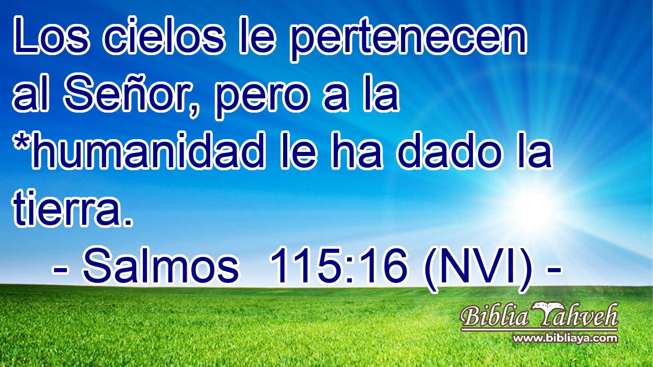  Los cielos le pertenecen al Señor, pero a la *humanidad le ha dado la tierra. 