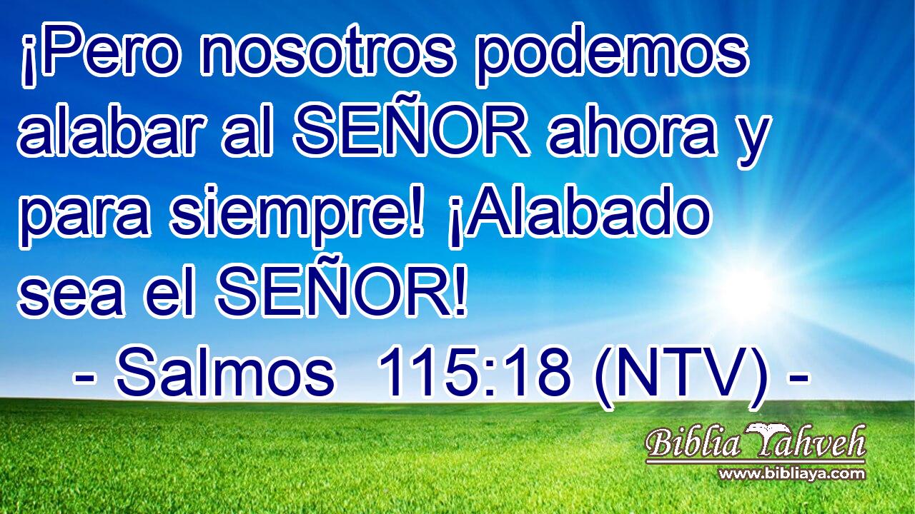 ¡Pero nosotros podemos alabar al SEÑOR ahora y para siempre! ¡Alabado sea el SEÑOR!