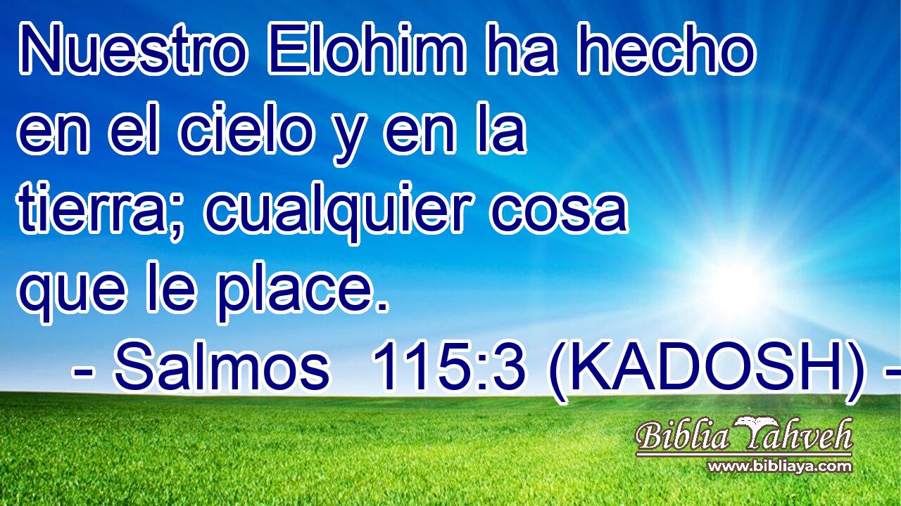  Nuestro Elohim ha hecho en el cielo y en la tierra; cualquier cosa que le place. 