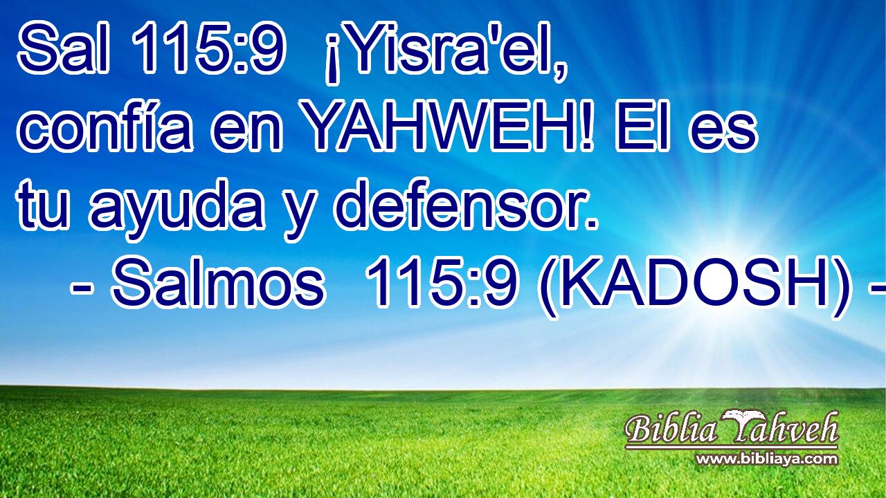  ¡Yisra'el, confía en YAHWEH! El es tu ayuda y defensor. 