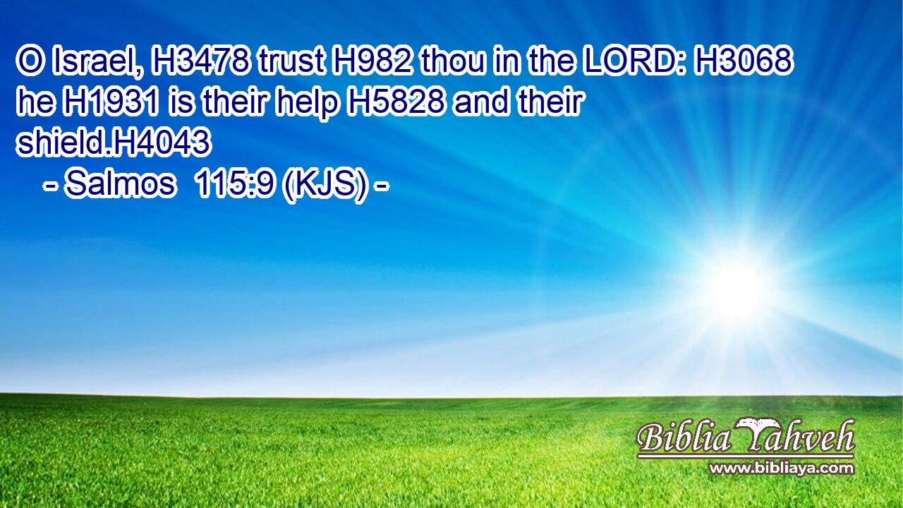 O Israel, H3478 trust H982 thou in the LORD: H3068 he H1931 is their help H5828 and their shield.H4043