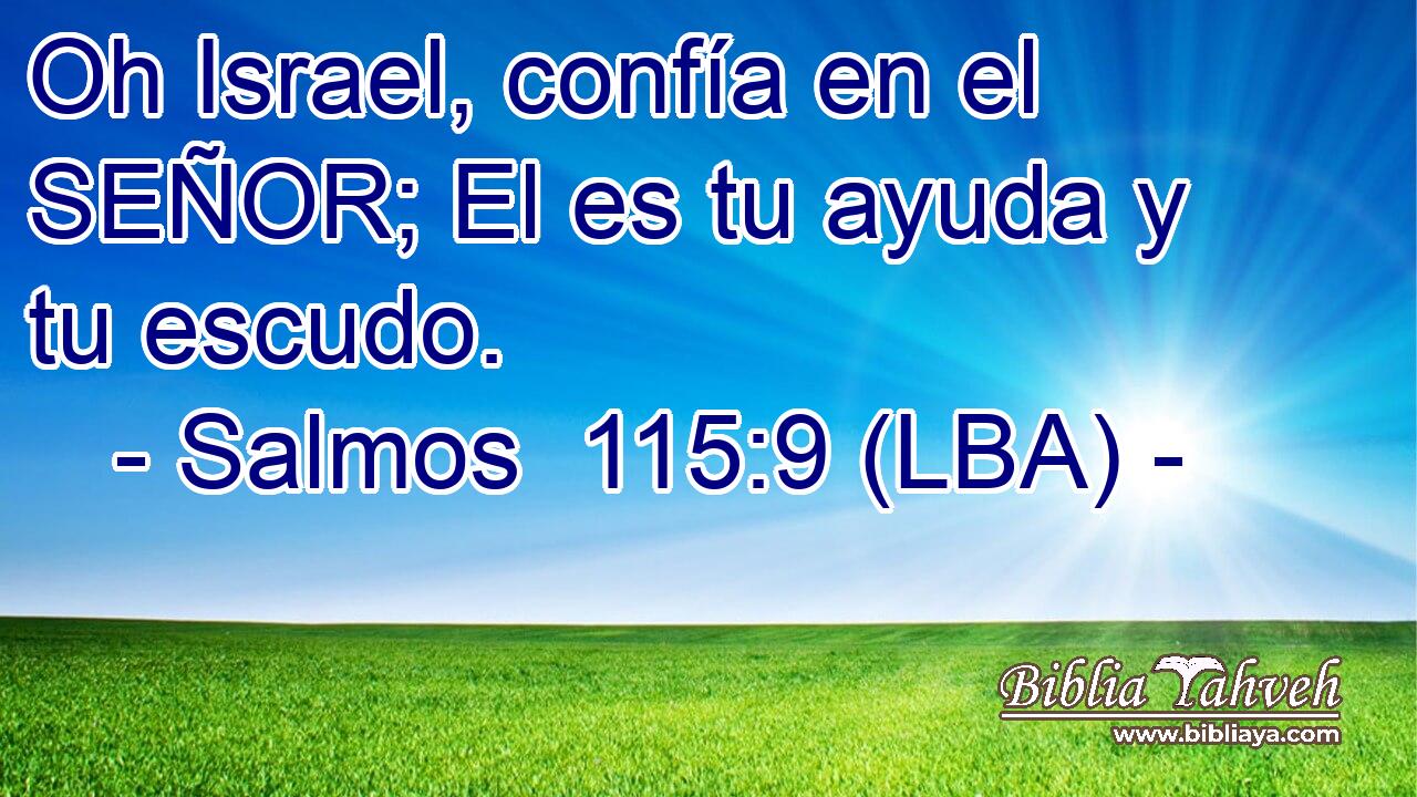 Oh Israel, confía en el SEÑOR; El es tu ayuda y tu escudo.