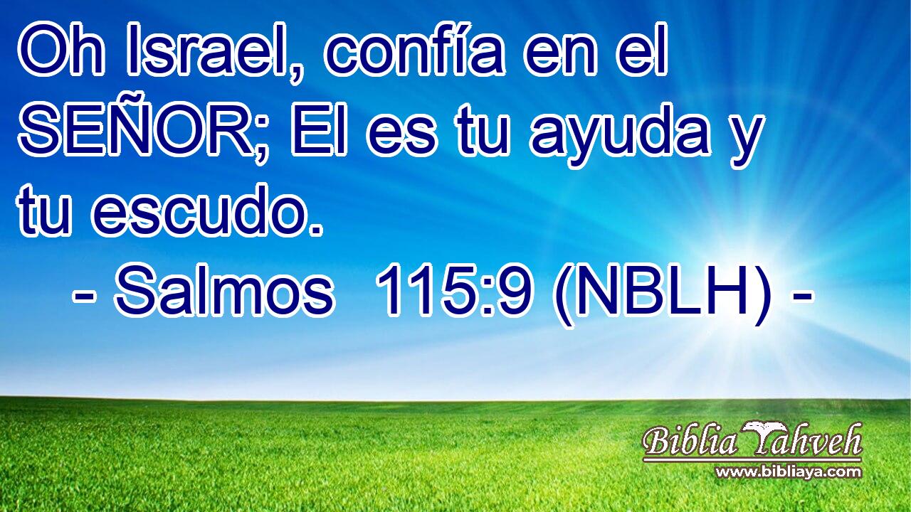  Oh Israel, confía en el SEÑOR; El es tu ayuda y tu escudo. 