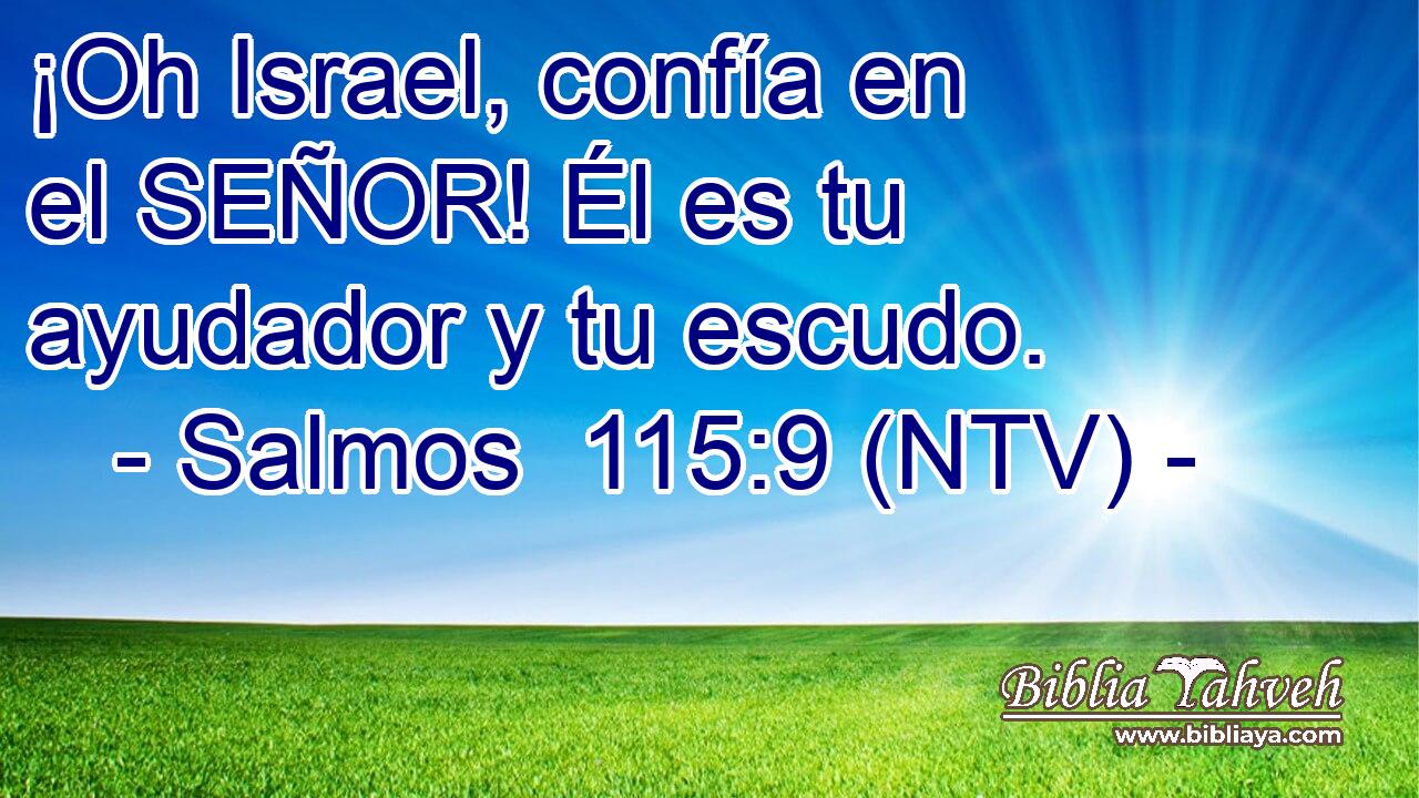 ¡Oh Israel, confía en el SEÑOR! Él es tu ayudador y tu escudo.