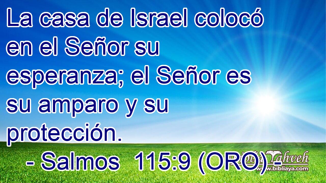  La casa de Israel colocó en el Señor su esperanza; el Señor es su amparo y su protección. 