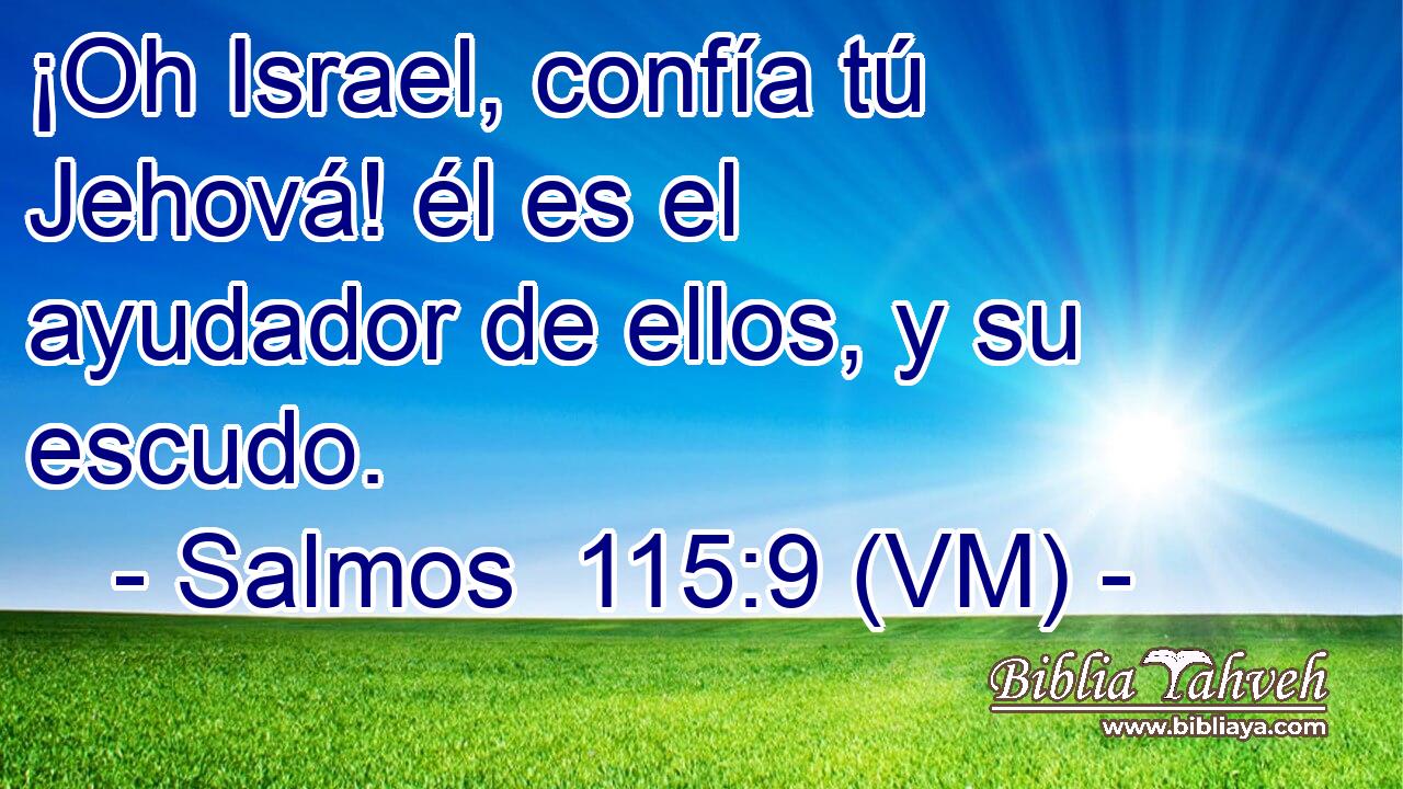  ¡Oh Israel, confía tú Jehová! él es el ayudador de ellos, y su escudo. 