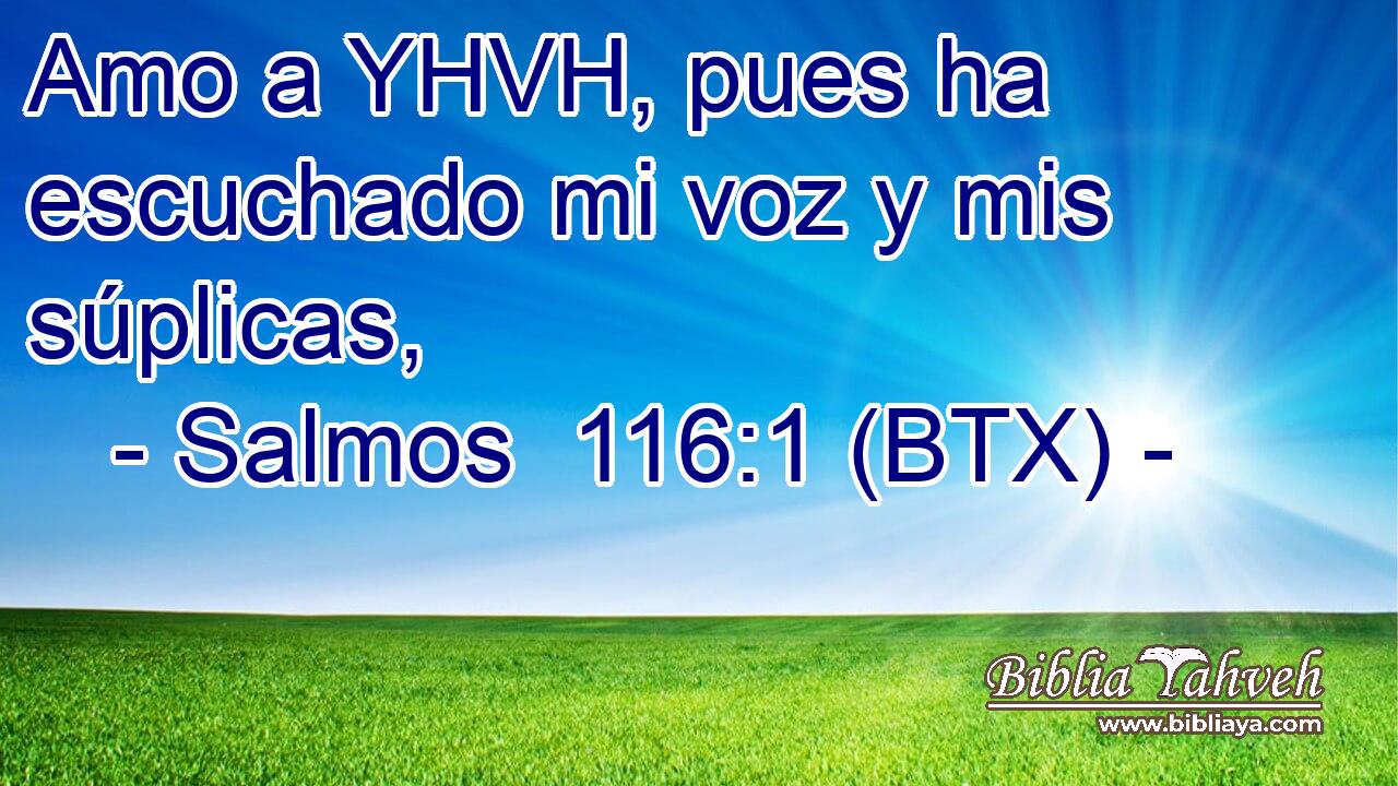Amo a YHVH, pues ha escuchado mi voz y mis súplicas,