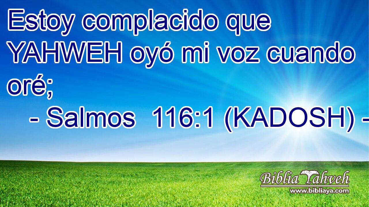  Estoy complacido que YAHWEH oyó mi voz cuando oré; 