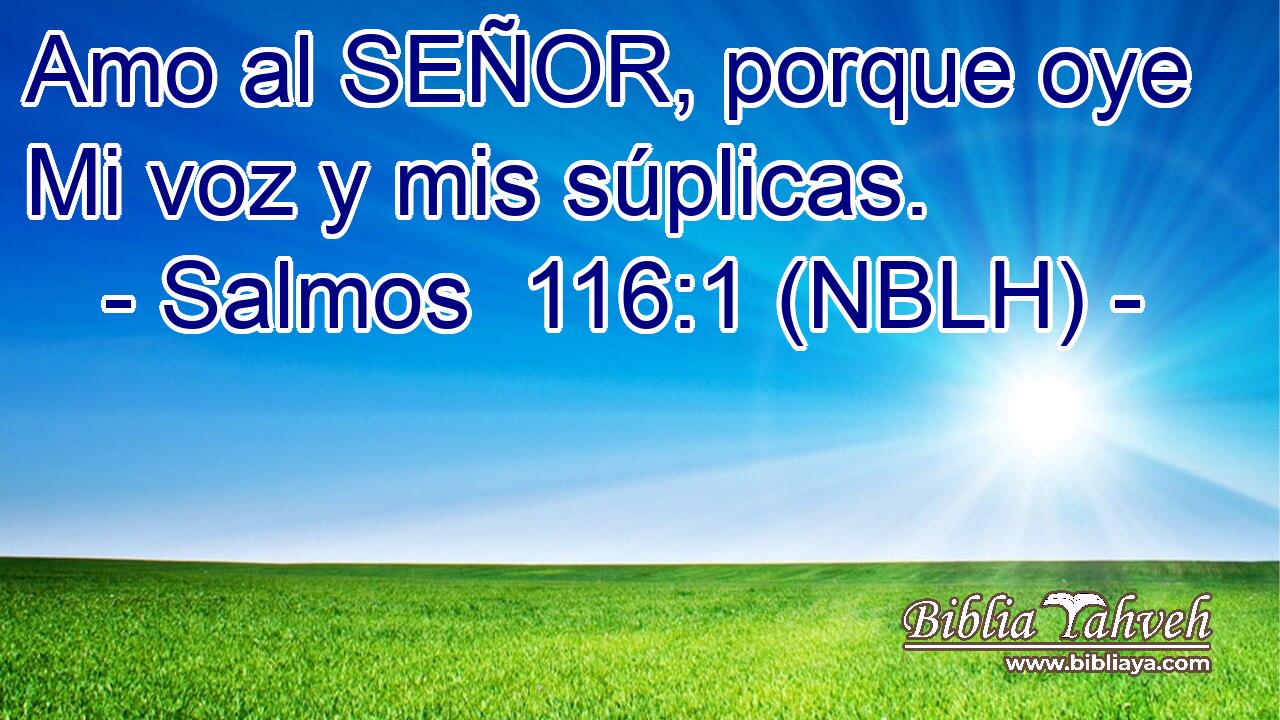  Amo al SEÑOR, porque oye Mi voz y mis súplicas. 
