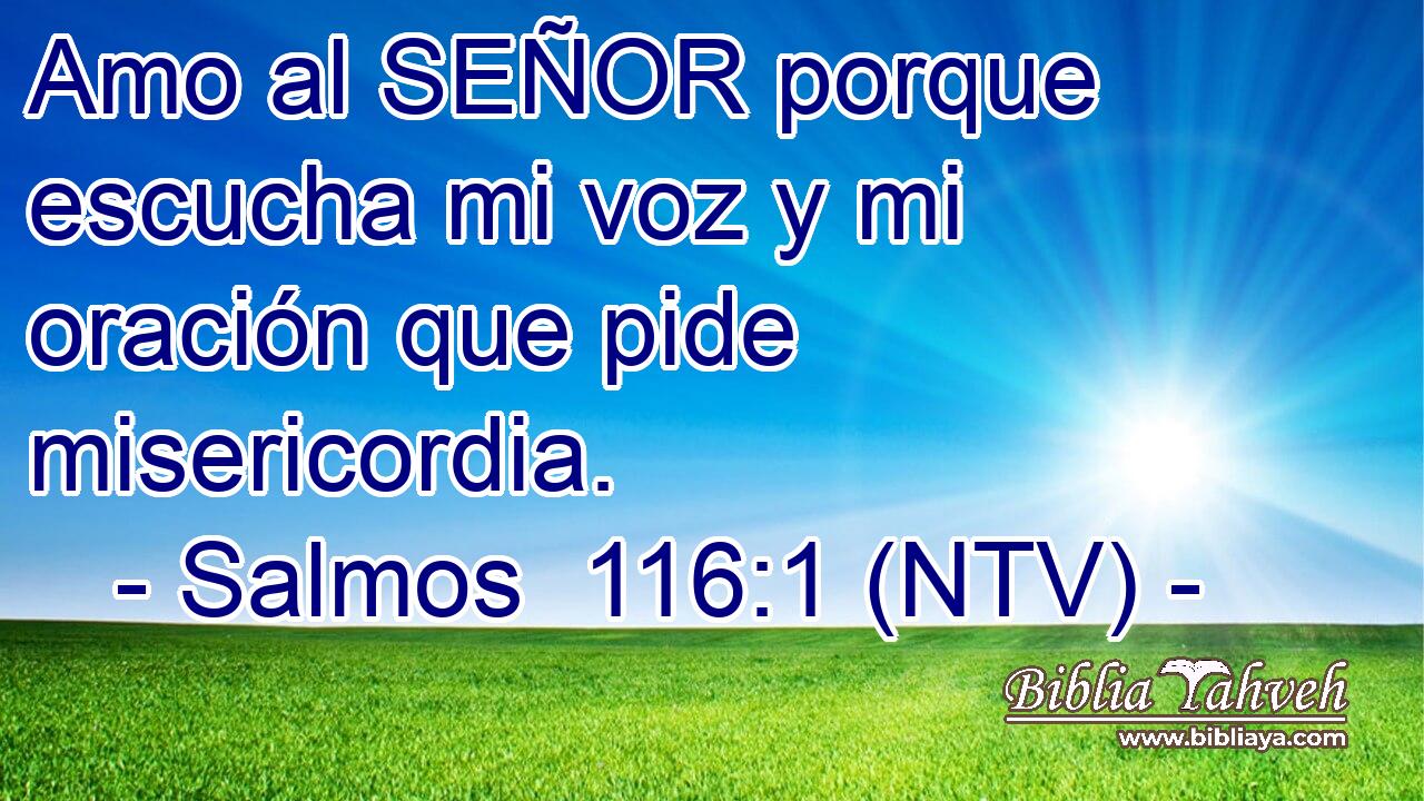 Amo al SEÑOR porque escucha mi voz y mi oración que pide misericordia.