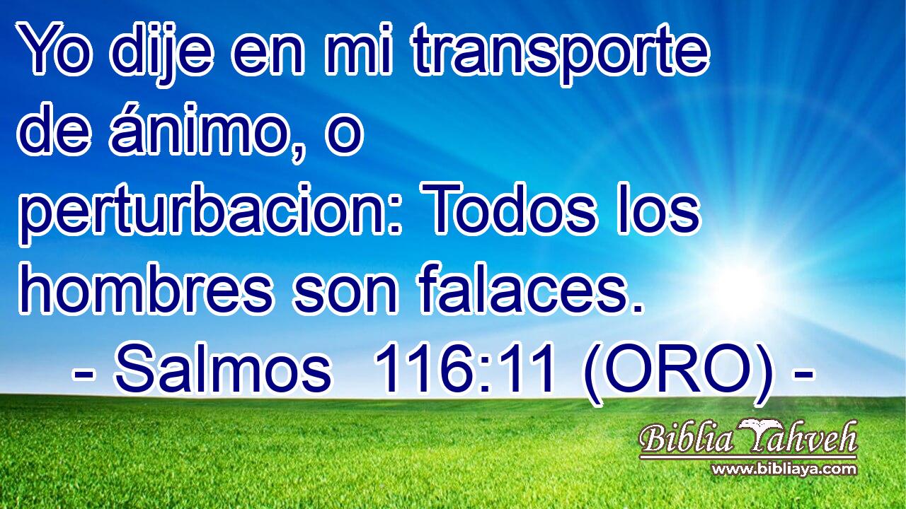 Yo dije en mi transporte de ánimo, o perturbacion: Todos los hombres son falaces. 
