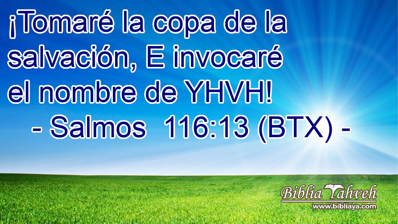 ¡Tomaré la copa de la salvación, E invocaré el nombre de YHVH!
