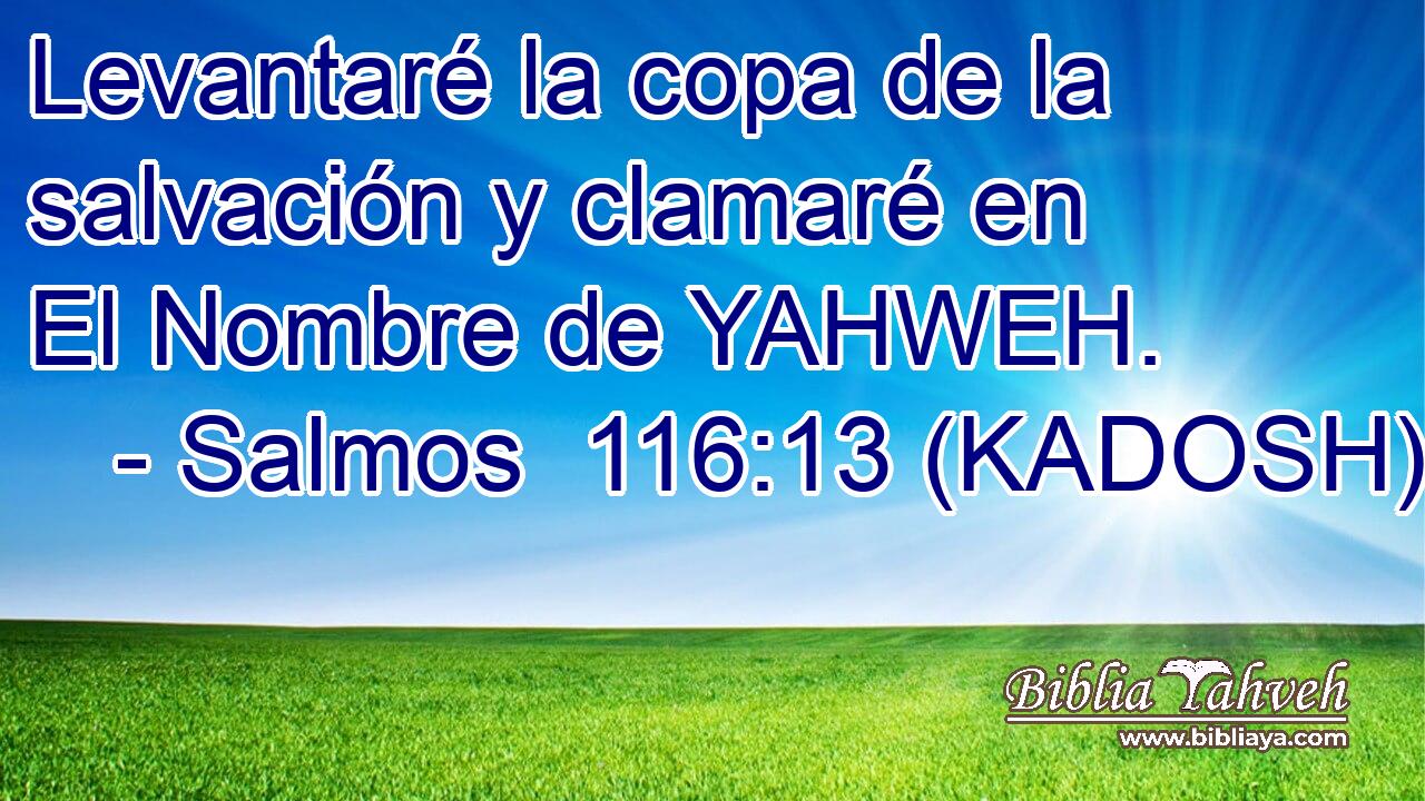  Levantaré la copa de la salvación y clamaré en El Nombre de YAHWEH. 