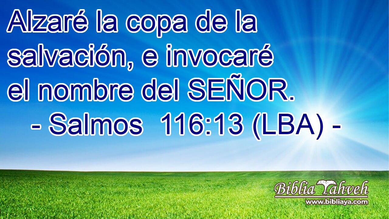 Alzaré la copa de la salvación, e invocaré el nombre del SEÑOR.