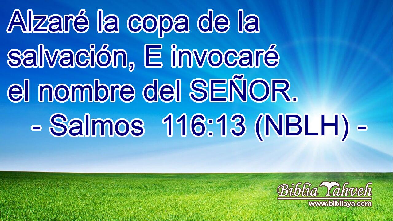  Alzaré la copa de la salvación, E invocaré el nombre del SEÑOR. 
