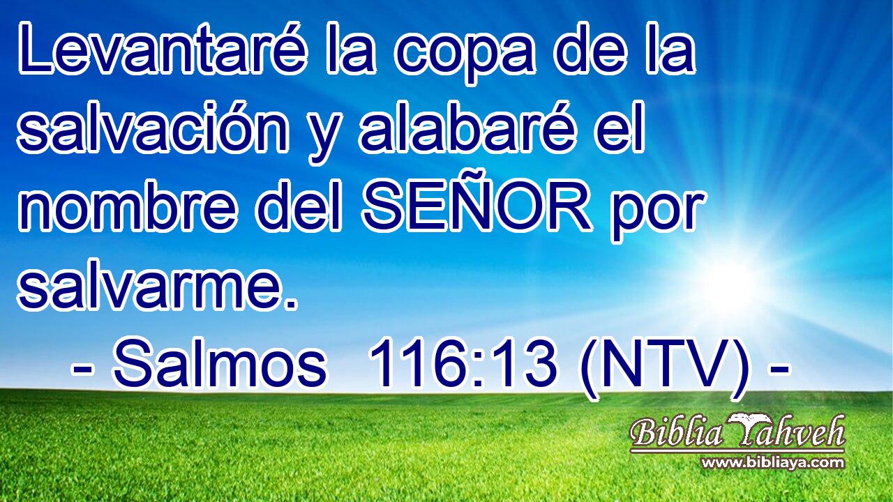 Levantaré la copa de la salvación y alabaré el nombre del SEÑOR por salvarme.